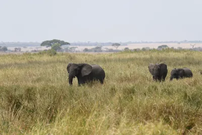 DSC_3610 (Large).JPG